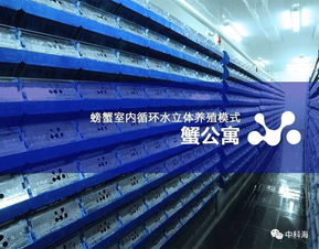 匯聚藍(lán)色經(jīng)濟(jì)新動能 第十三屆中國國際（廈門）漁業(yè)博覽會全景解析