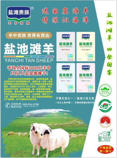 鹽池灘羊 市場價(jià)格、合理區(qū)間與產(chǎn)業(yè)鏈解析